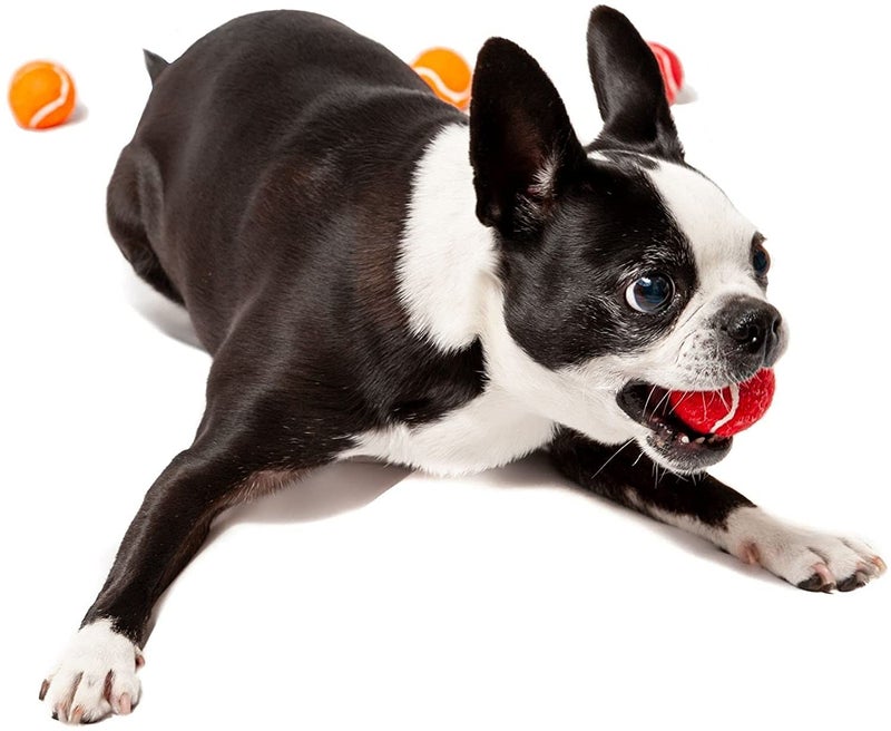Midlee 1.5" Mini Dog Tennis Balls Bulk Set of 25 Assorted Colors - Image 4